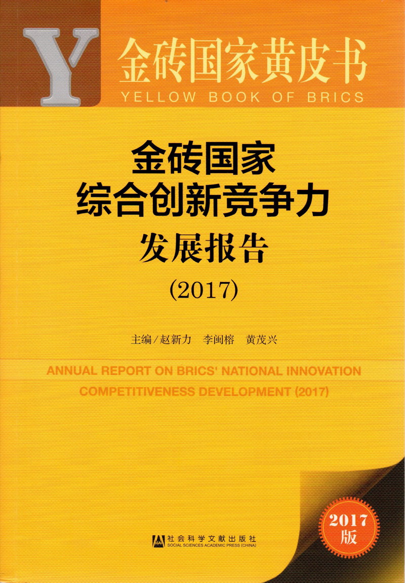 操婊免费视频在线观看金砖国家综合创新竞争力发展报告（2017）